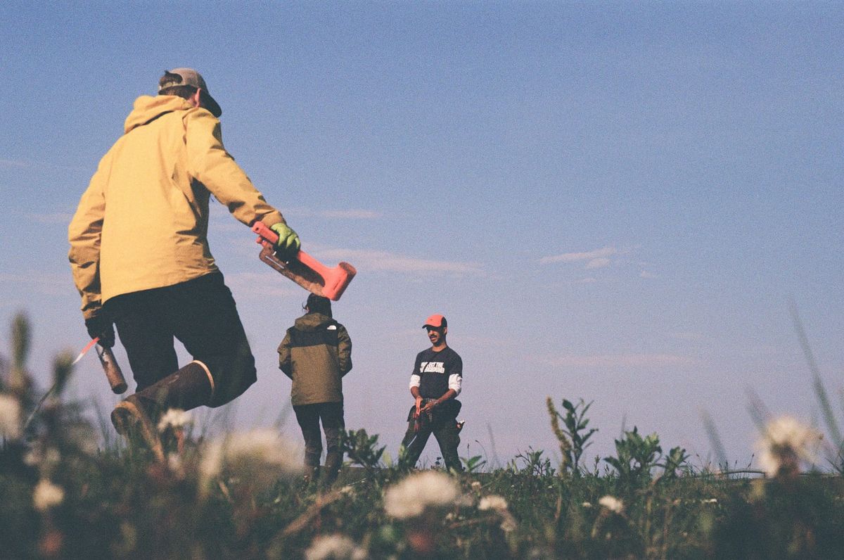 🟢 The fungus among us