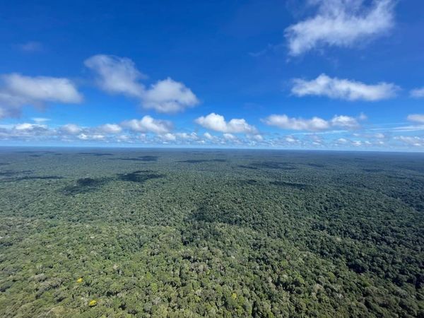 Newsletter June 18, 2024: A new way to think about Life (Plus, a surprise!)