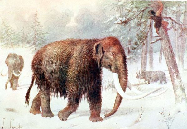 painting of woolly mammoth in snowy landscape