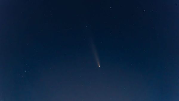 This is your only chance to see this rare comet