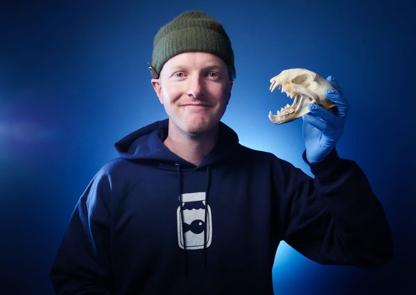 Charlie Engelman of Odd Animal Specimens in a sweater holding a bobcat skull