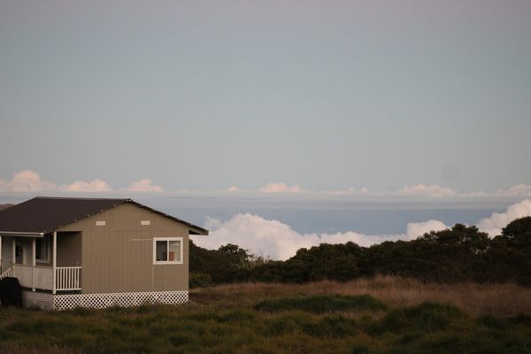 Newsletter March 10, 2025:What I learned at bird school