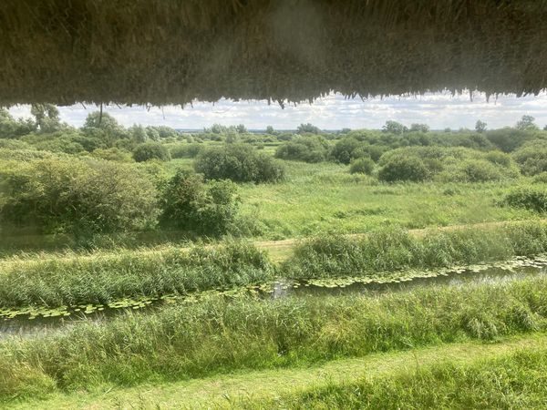 Inside a reporter's notebook: Wicken Fen