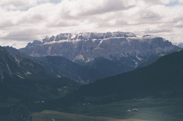 Newsletter August 21, 2025:How do we connect with nature? Fleeting thoughts for a fleeting summer