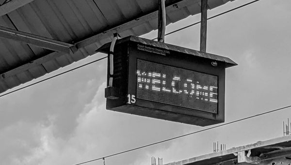 Newsletter March 25, 2024: Welcome!