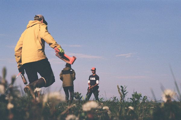 🟢 The fungus among us