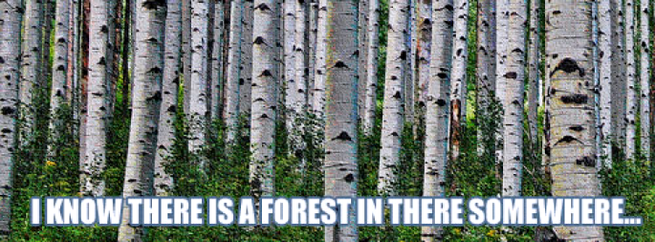 02/24/2026 TOTD: Persistency of the Obvious
