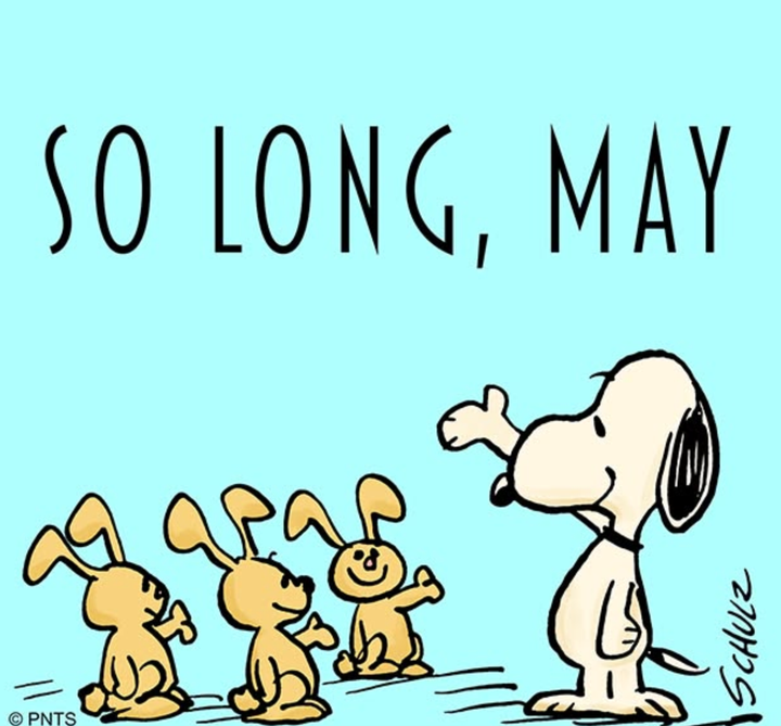 5/29/2026 TOTD: The Friday Finish