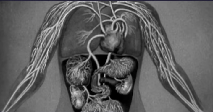 7/9/2026 TOTD: Use Your Nose! Complete Oxygenation