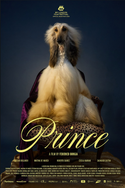 Poster for Federico Borgia's Prince, featuring the Afghan Hound