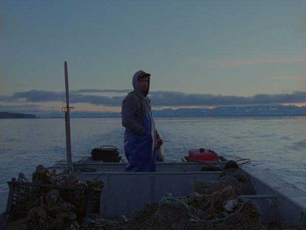 An oyster bed in Jessica Johnson and Ryan Ermacora's documentary Concrete Turned to Sand