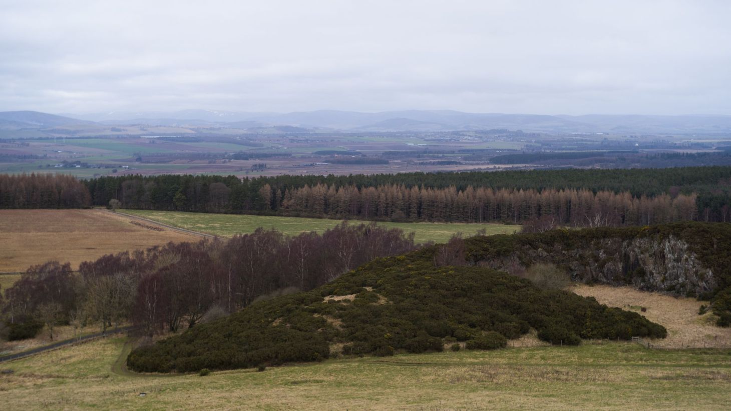 A first walk in my local hills after the move to Scotland