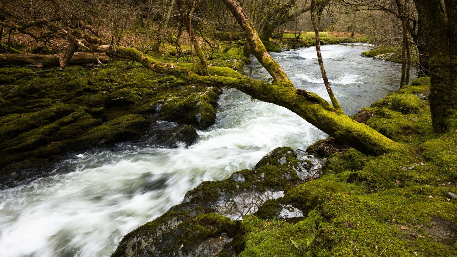 The stories that must be written