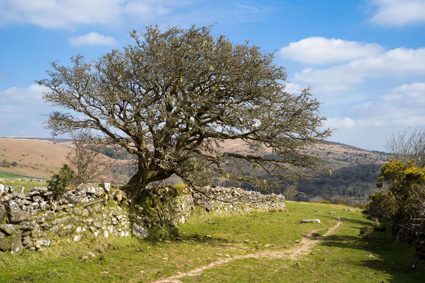 Postcards from the Dartmoor Way
