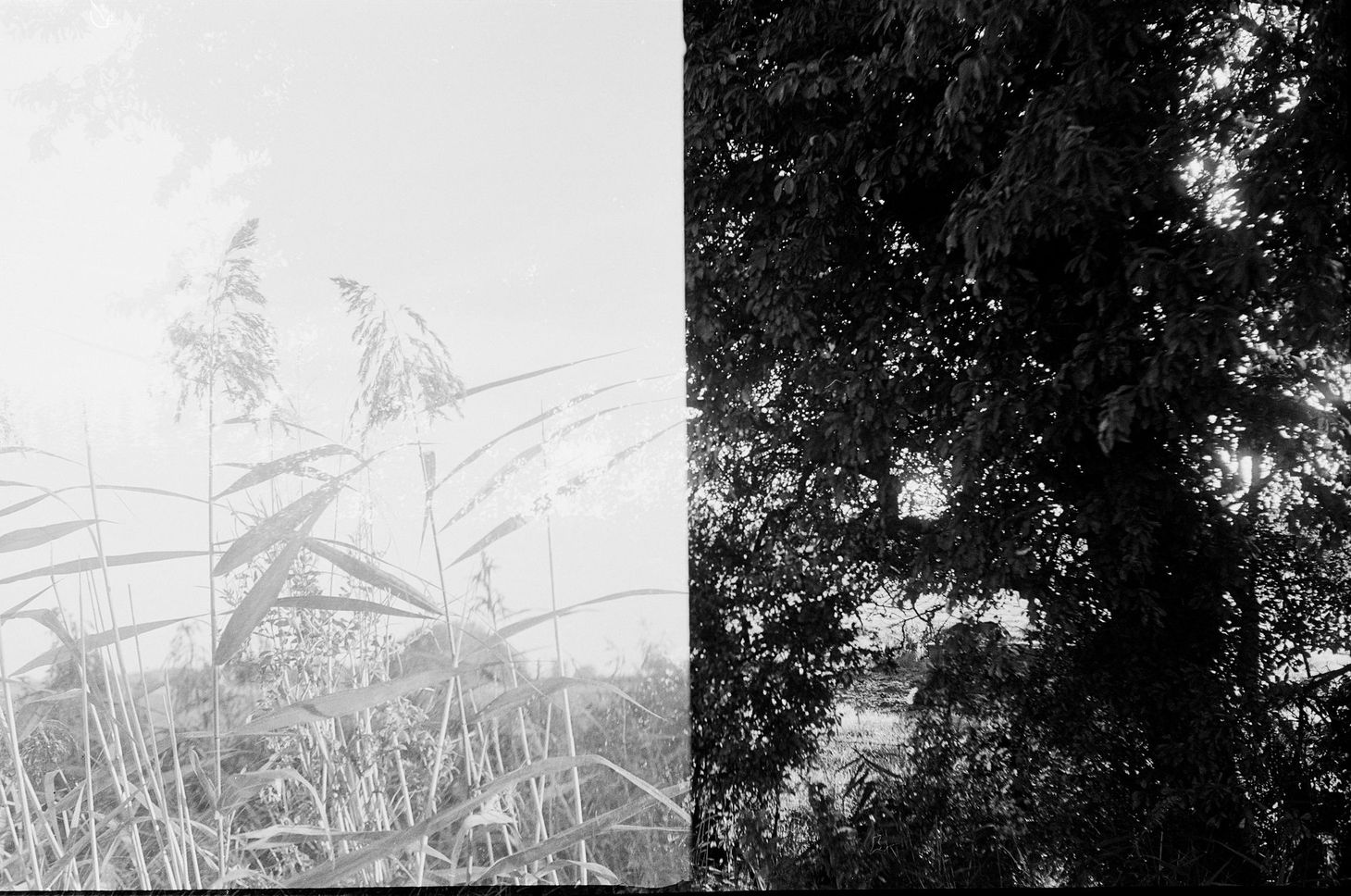 The late 2023 social media burnout