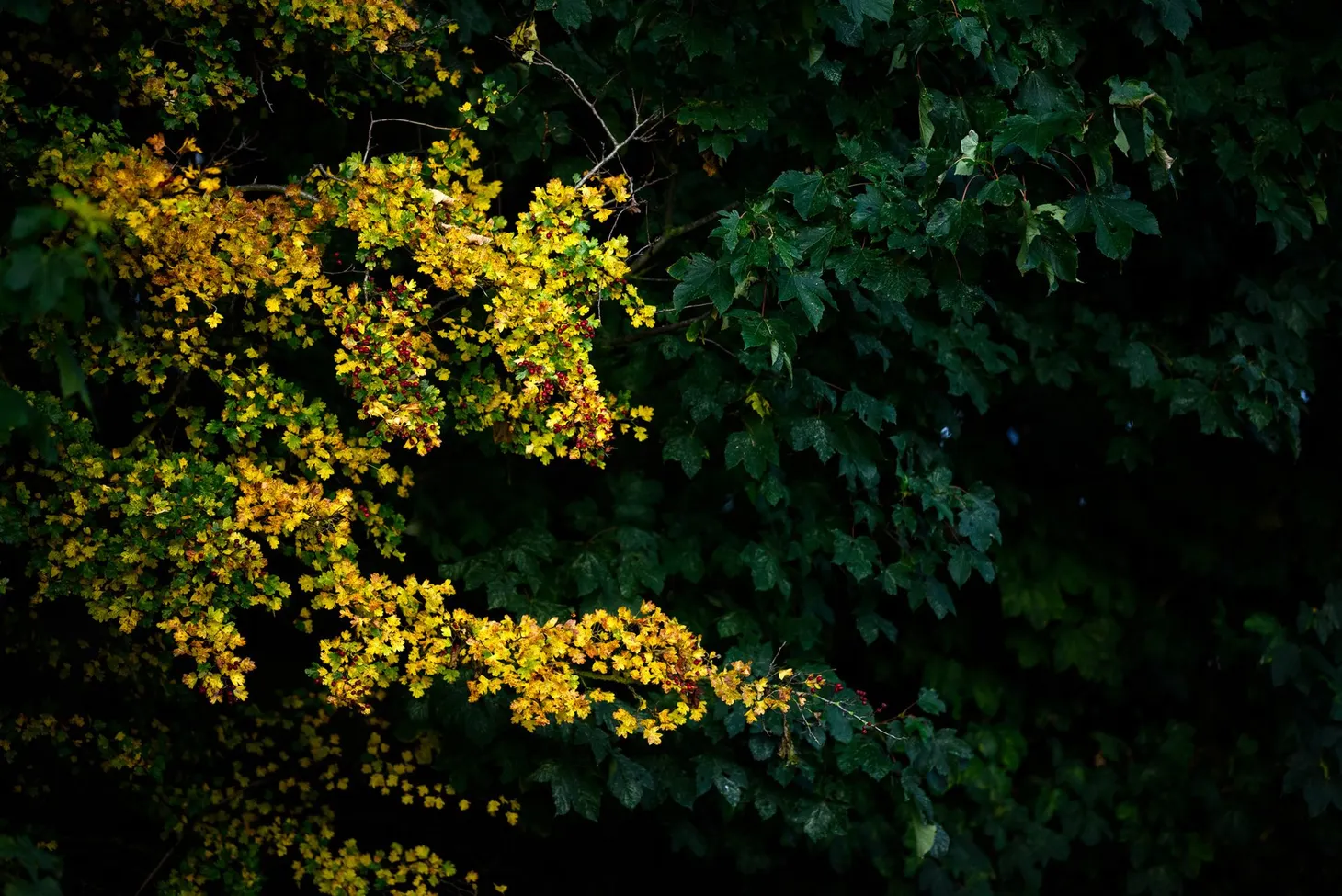 Last months in Lincolnshire