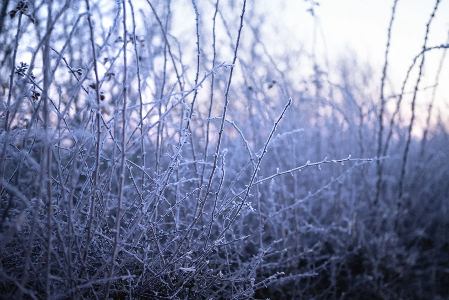 What I've been reading lately: 16th of December 2022