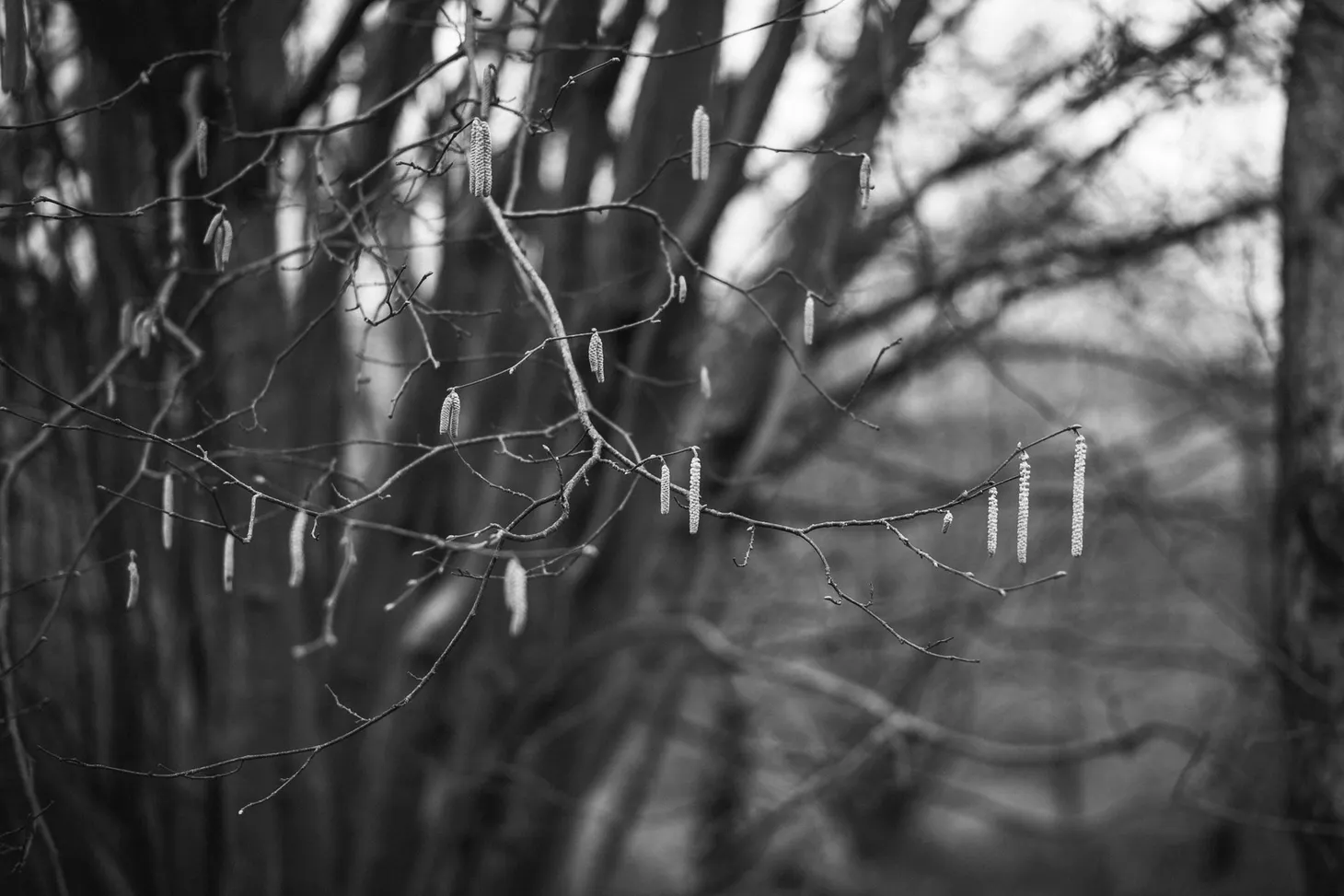 What I've been reading lately: the Dartmoor Debacle, putting the photo first, smartphone navigation, and the problem with AI