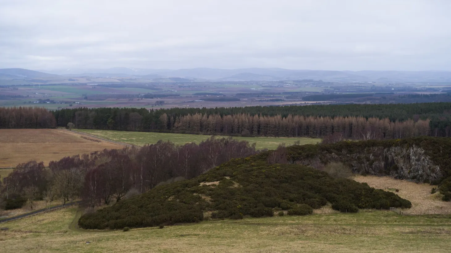 A first walk in my local hills after the move to Scotland