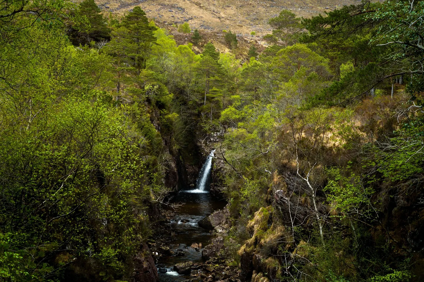 Scotland: the first two months