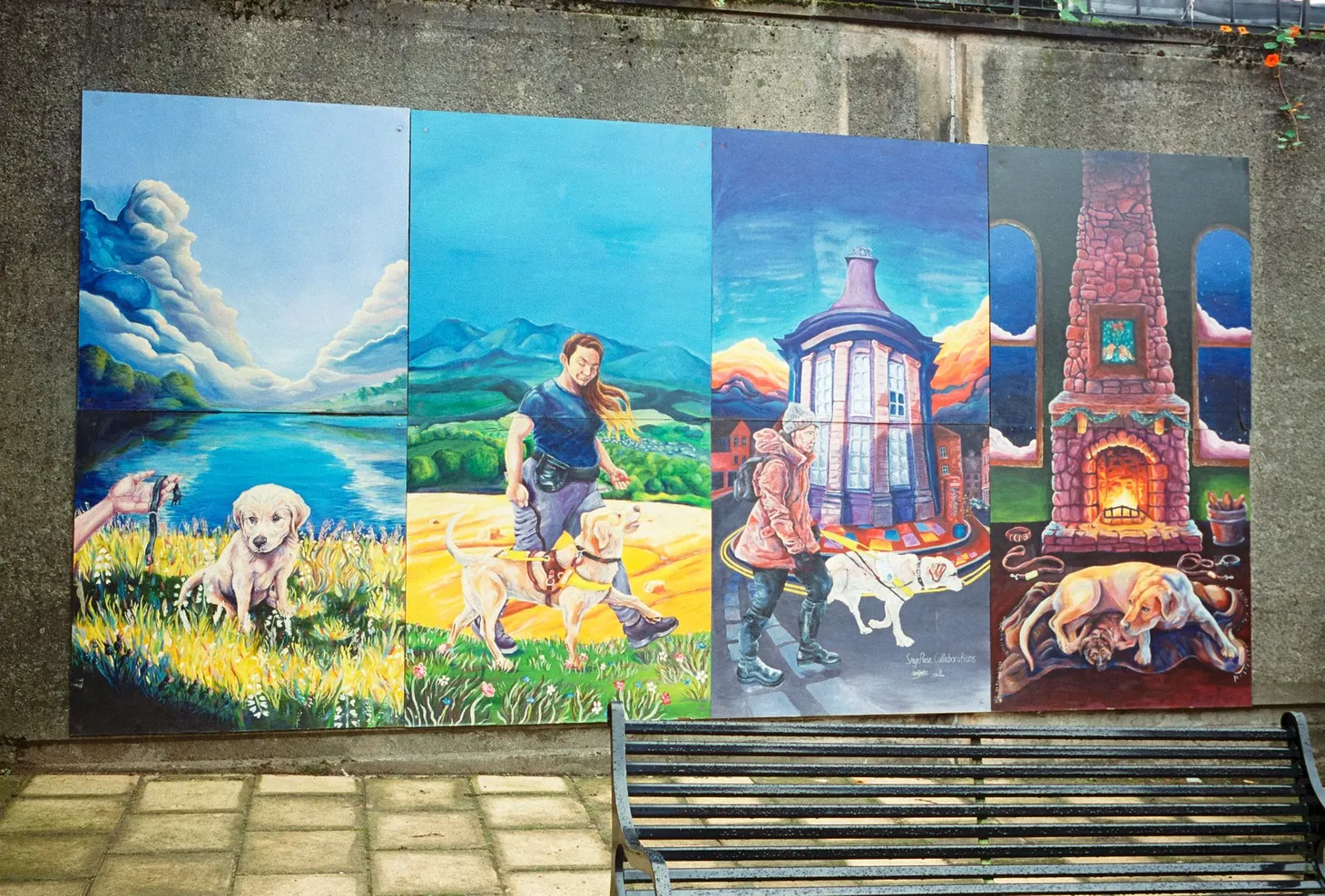 My first two rolls of Kodak Vision3 250D