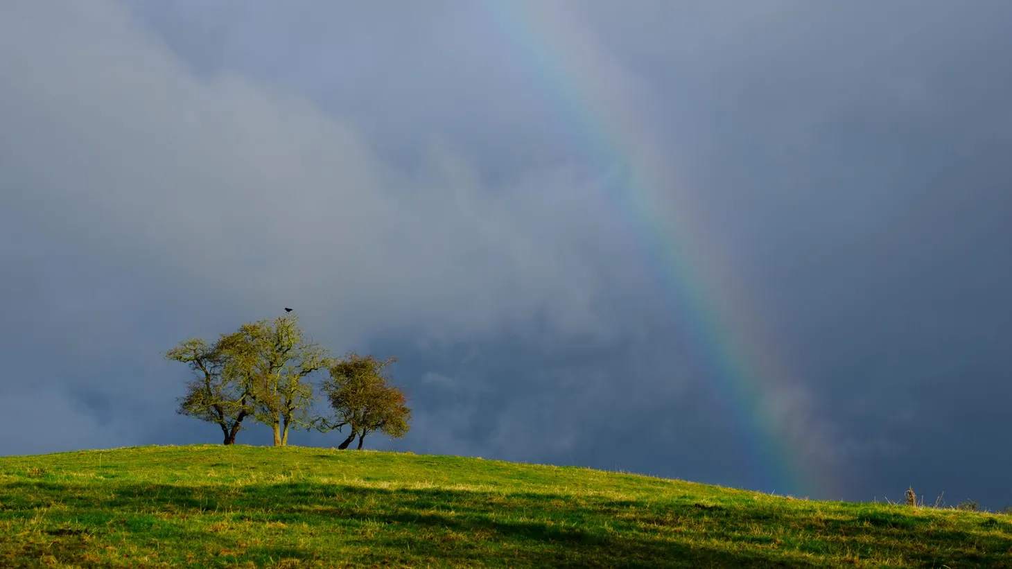 2018 in review: mountains, editorial work, writing, and more