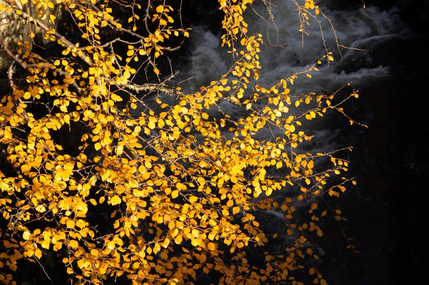 What I’ve been reading this week, 15 November 2019