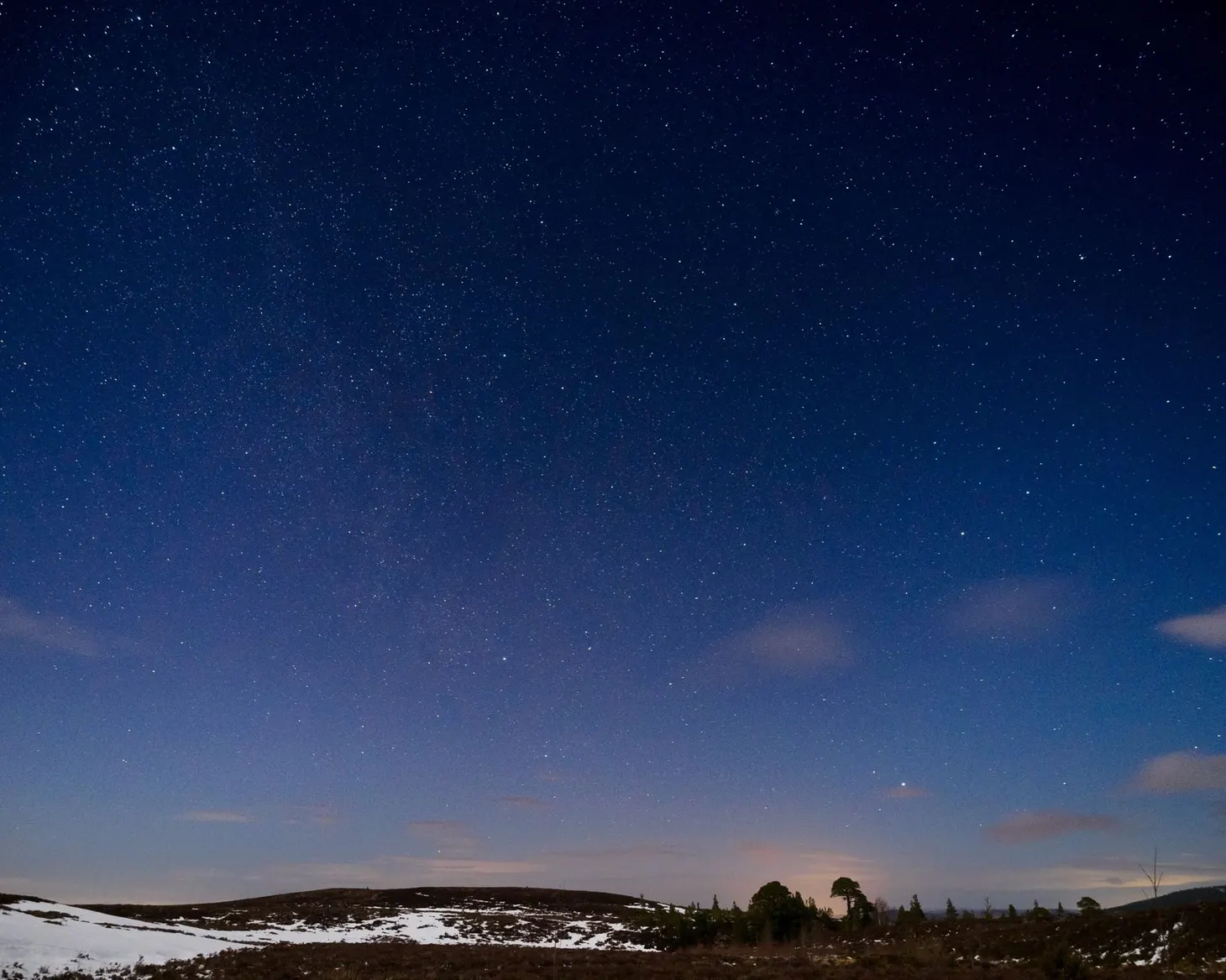 What I’ve been reading this week, COVID-19 special