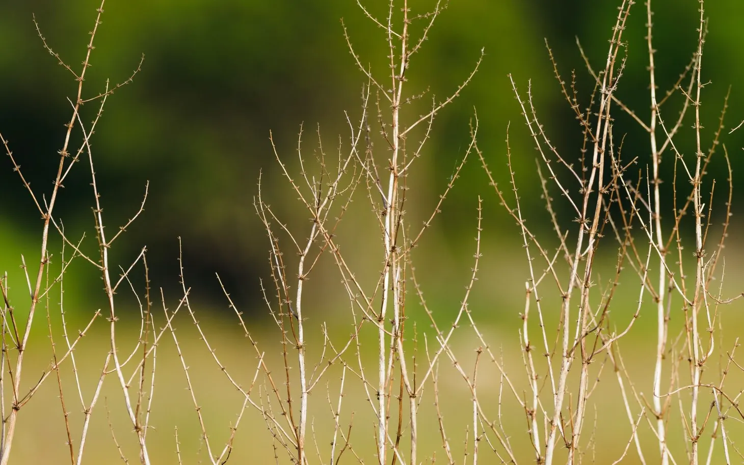 What I’ve been reading this week, 4 July 2020