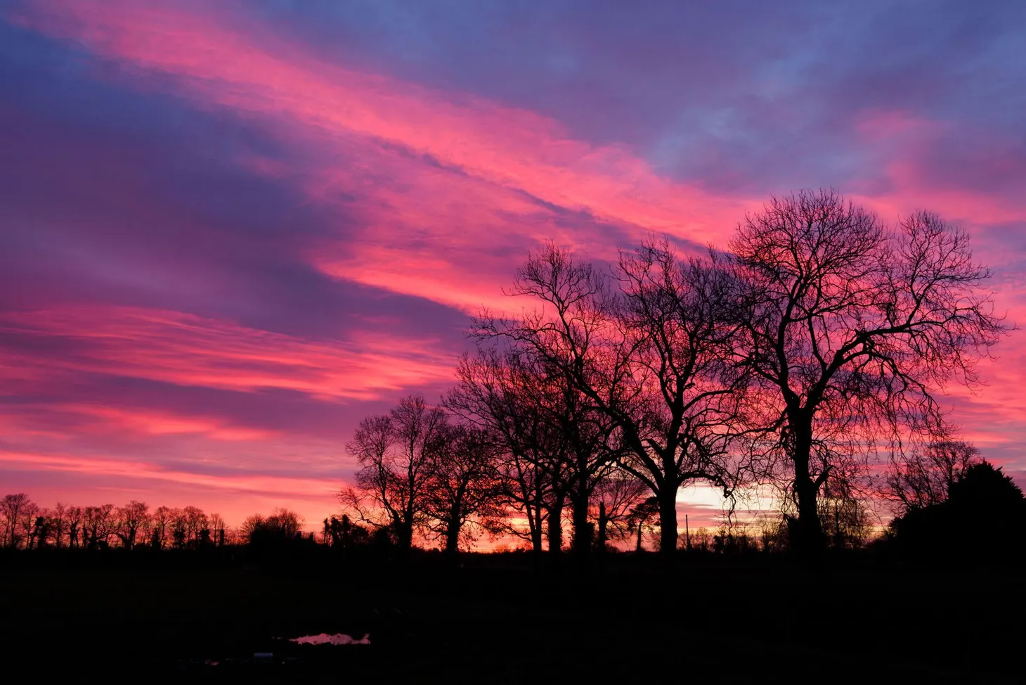 What I’ve been reading this week, 21 February 2021