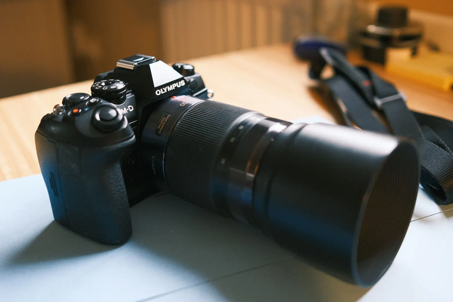 A Year with the Olympus OM-D E-M1 Mark III