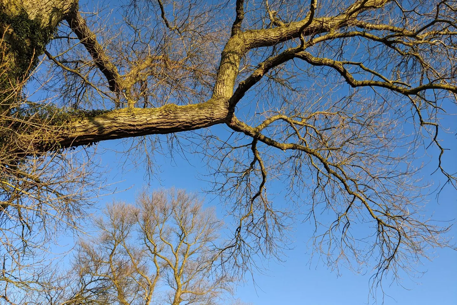 What I’ve been reading this week, 21 March 2021