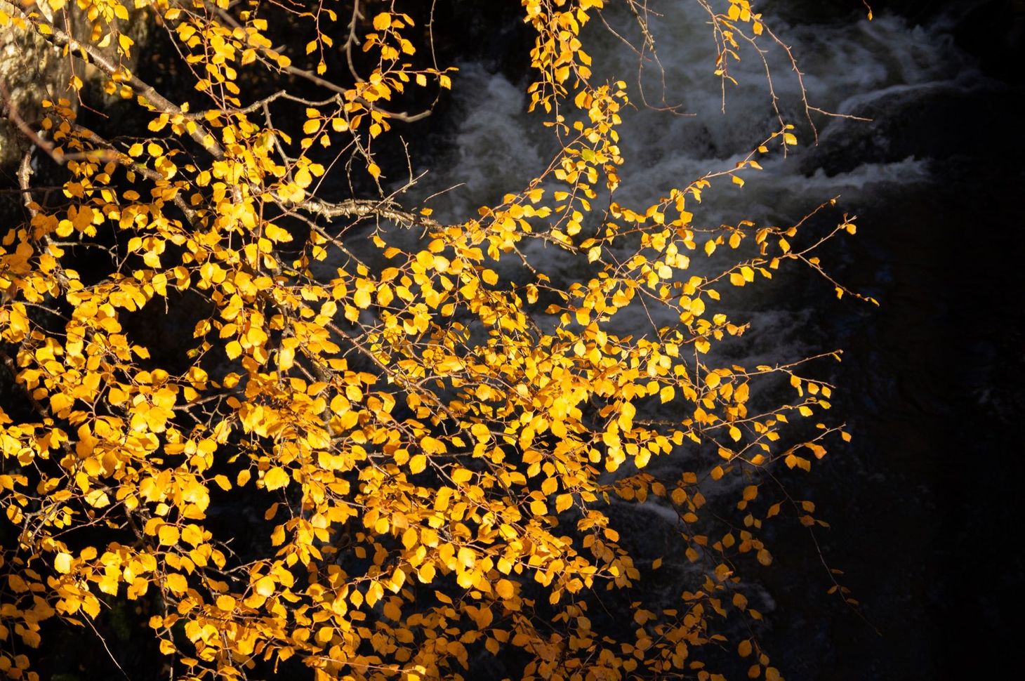 What I’ve been reading this week, 15 November 2019