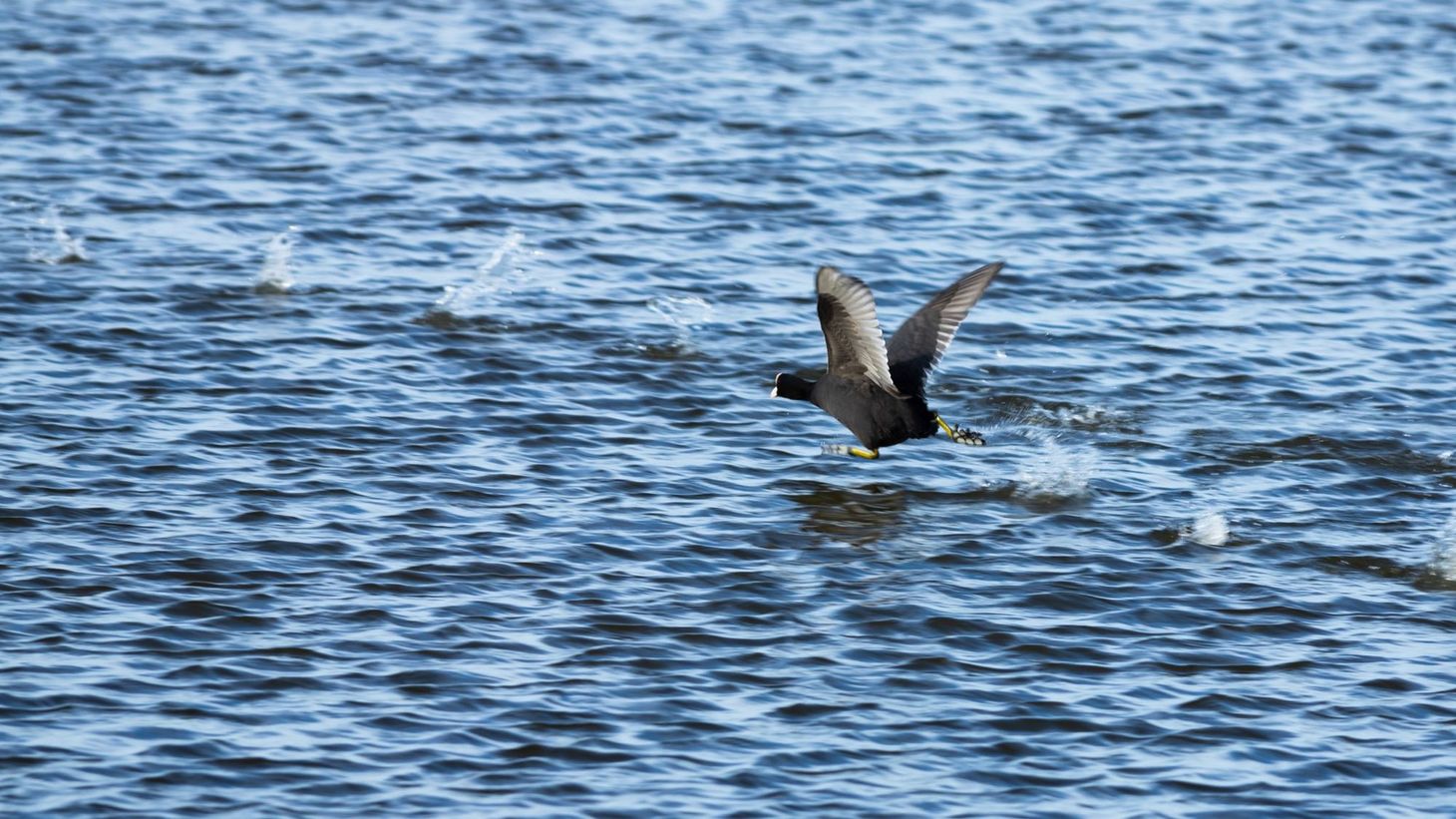 What I’ve been reading this week, 15 February 2020