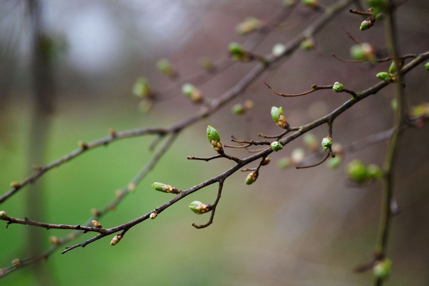 What I’ve been reading this week, 28 February 2020