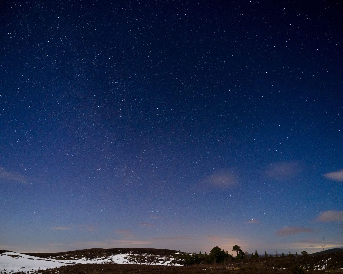 What I’ve been reading this week, COVID-19 special