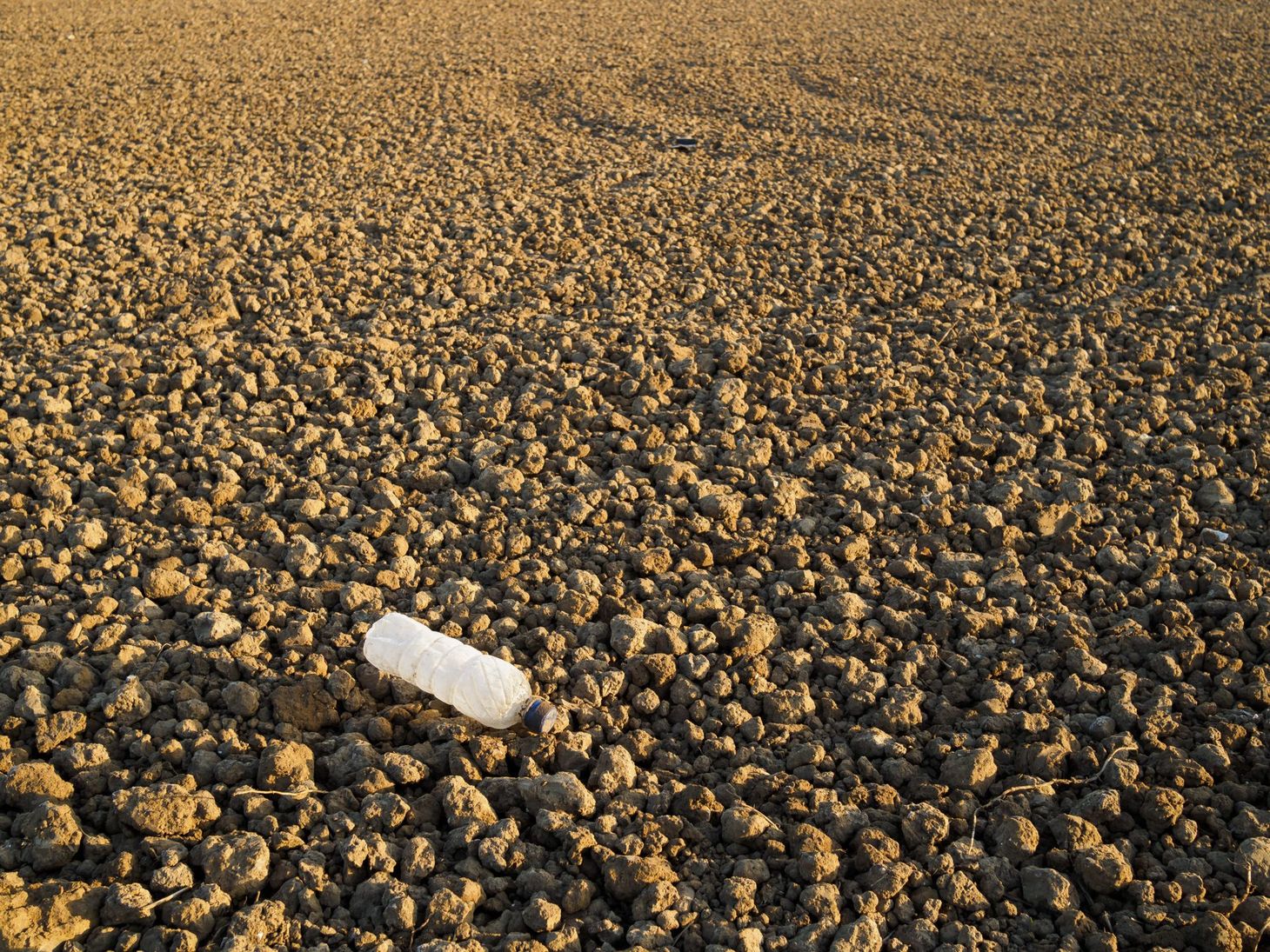 What I’ve been reading this week, 4 April 2020