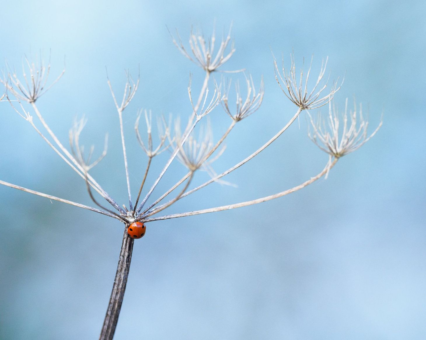 What I’ve been reading this week, 9 January 2020