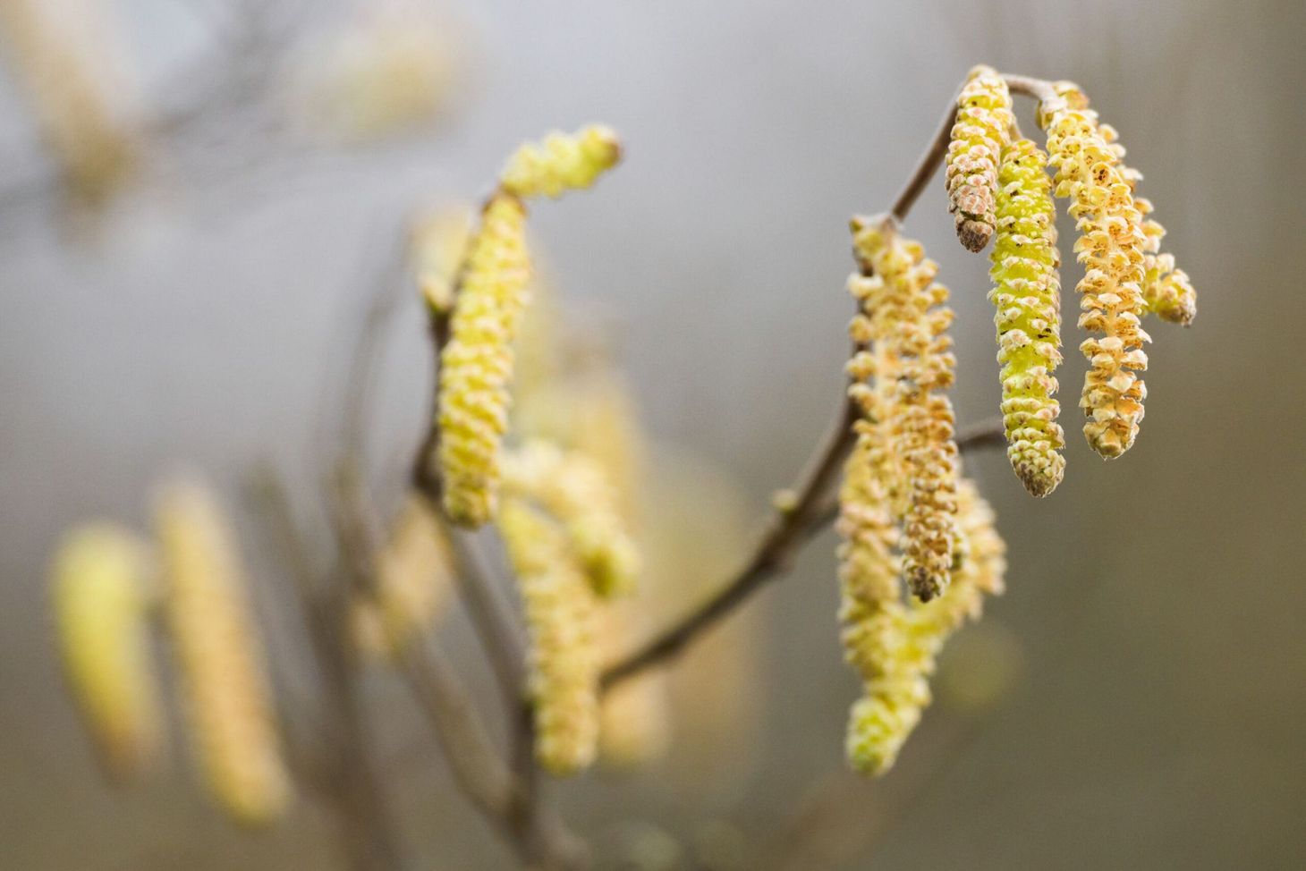 What I’ve been reading this week, 14 March 2021