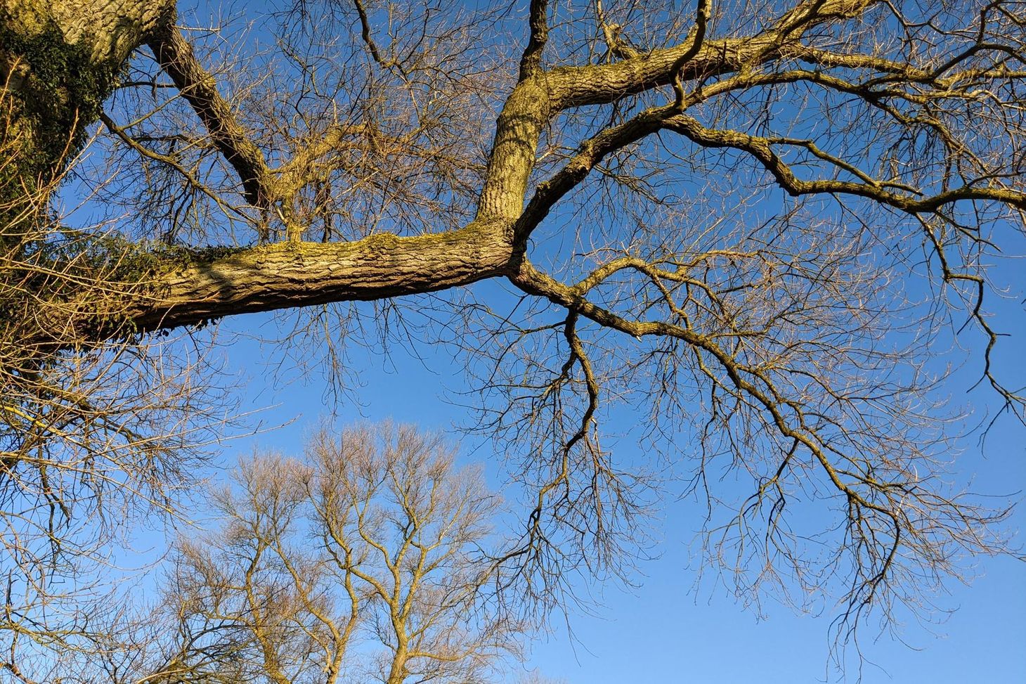 What I’ve been reading this week, 21 March 2021