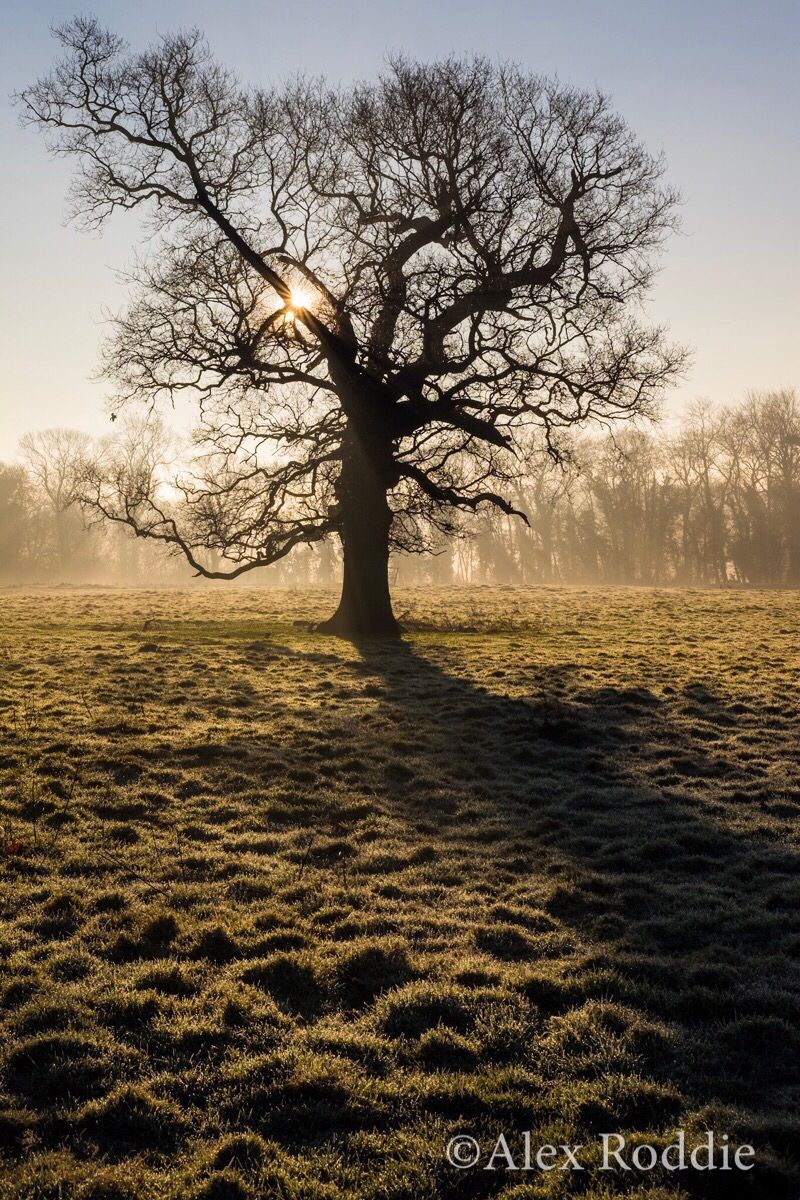 This is my favourite image from the first 100 miles of #walk2017