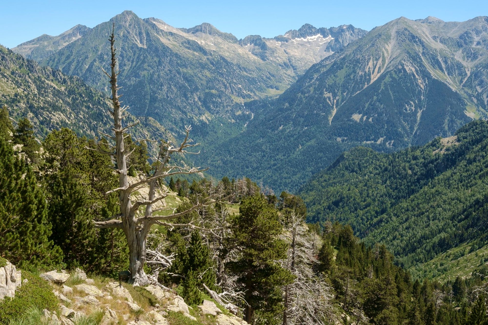 image-08-05-2019-19-58.jpg