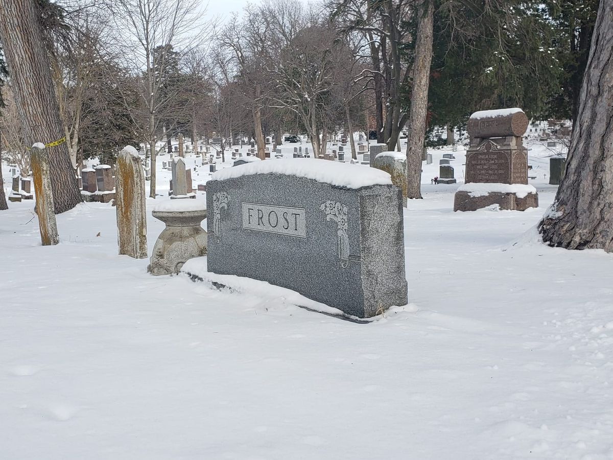 What to do this weekend - December 4, 2025