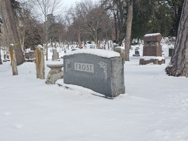 What to do this weekend - December 4, 2025