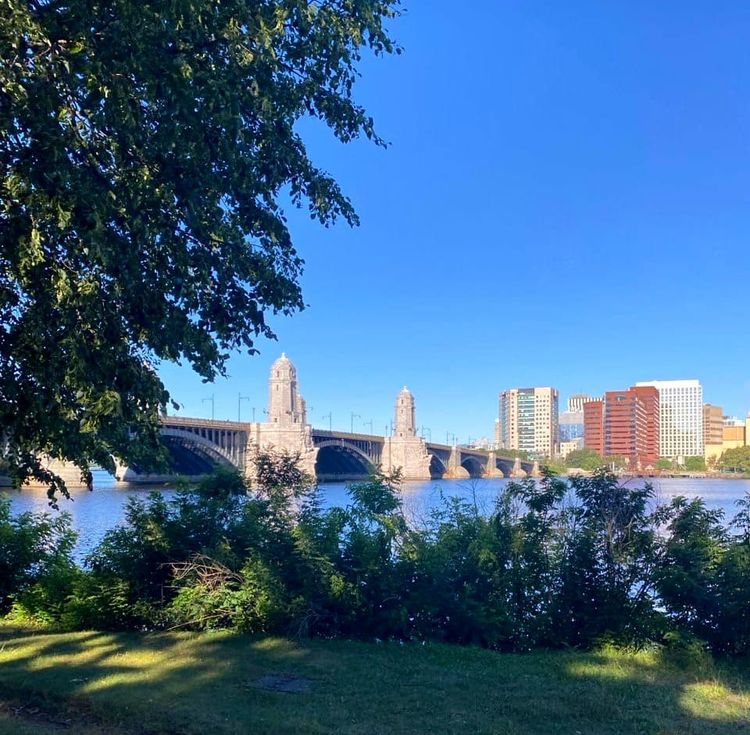A bridge over Boston’s Charles River against a blue sky. In the foreground, a big tree casts shadows on the bushes and grass that line the riverside bike path.