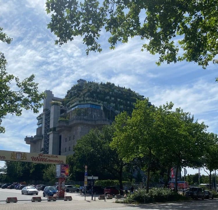 A giant concrete flak tower viewed from street level a block away. Trees and other greenery sprout from its roof and sides.