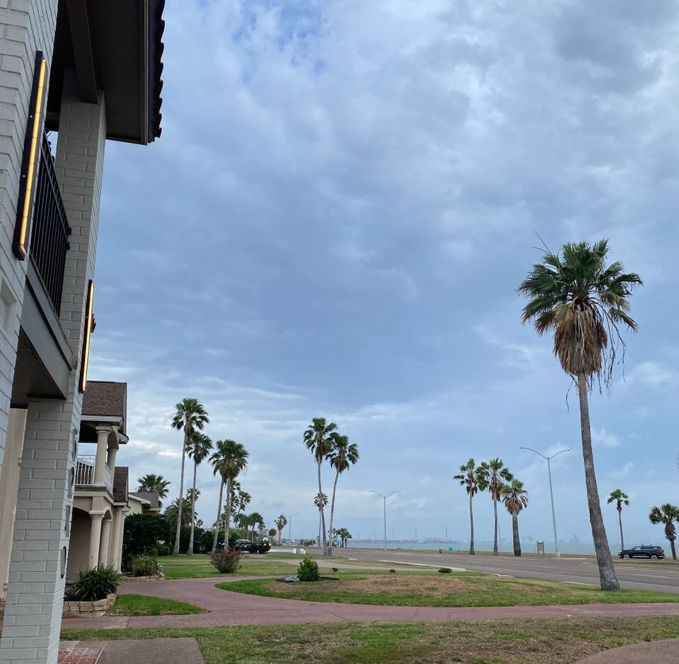 Fluffy dark clouds, mostly obscuring a blue sky, over palm trees along Ocean Drive in Corpus Christi. In the background, the water of the bay and the city skyline are visible.