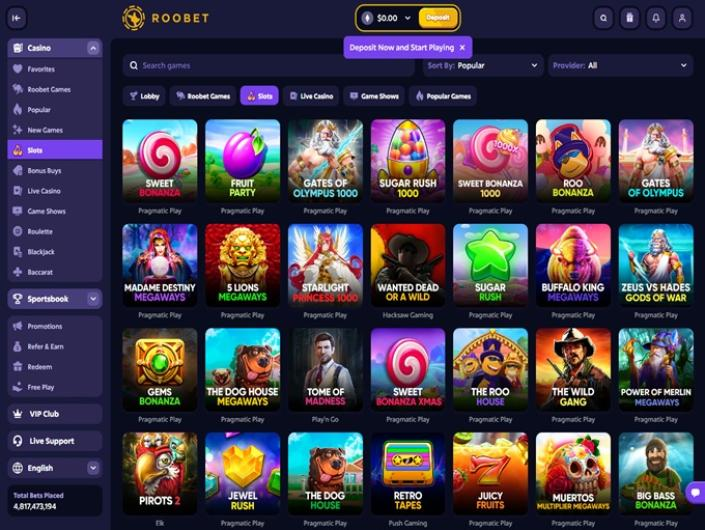 Casino Review: Roobet - Preview 2