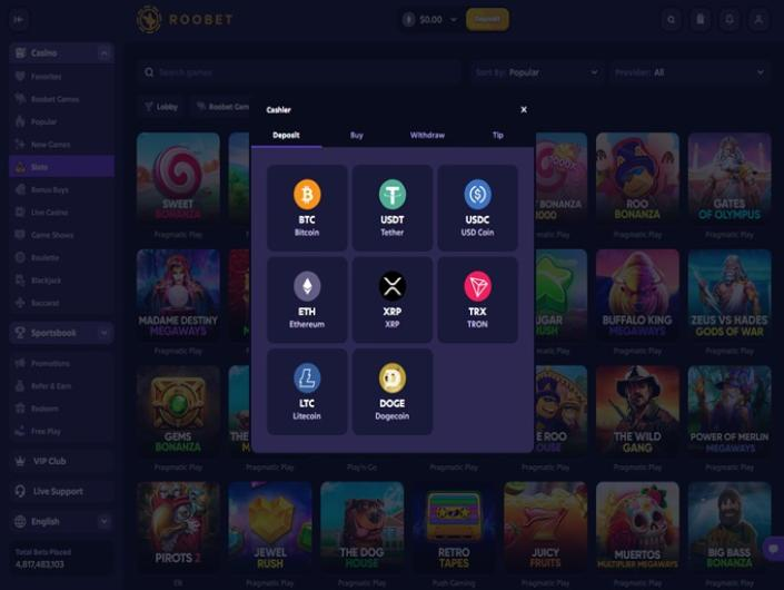 Review for Roobet - Preview