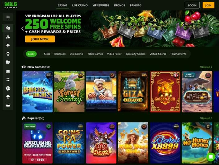 Best Casino Review: Wild.io - Best Online Casino